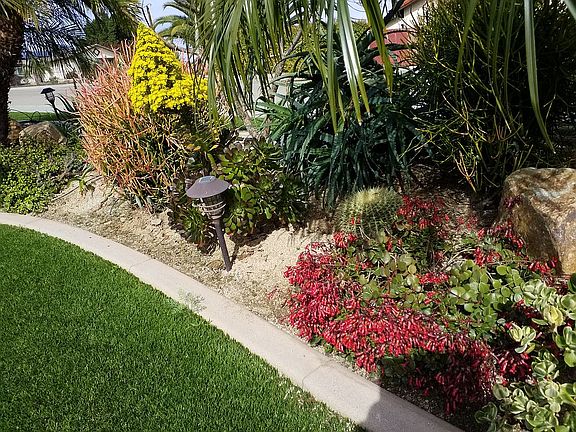 Front yard landscaping