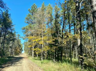 10735 Dollar Lake Rd, Grayling, MI 49738