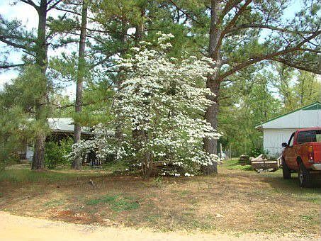2nd image of 54 Wildwood Dr