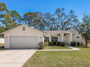 3352 Bluestone Ave, Spring Hill, FL 34609
