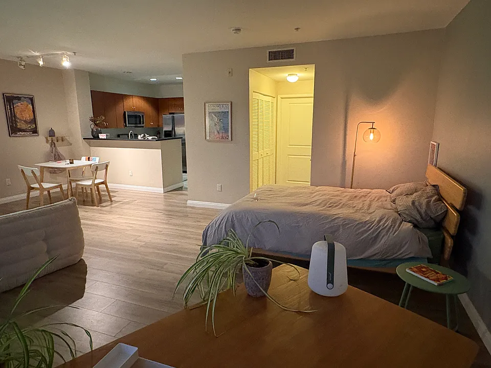 1801 E Katella Ave #3163