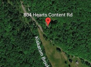 804 Hearts Content Rd, Purling, NY 12470