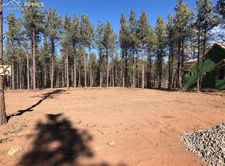 1406 Millstone Ln, Woodland Park, CO 80863