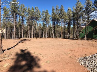 1406 Millstone Ln, Woodland Park, CO, 80863