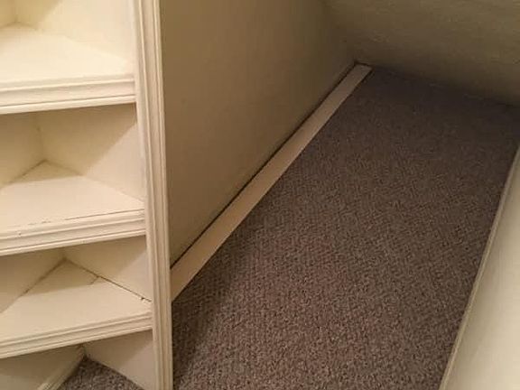 Hall closet under stairs (great hidey hole)