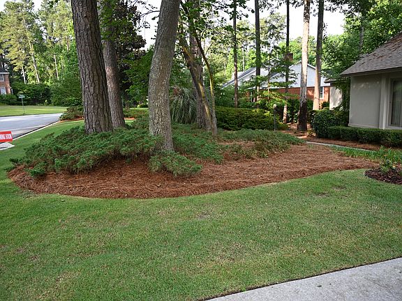 Front yard side view