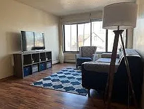 1 bed, 700 sqft, $1,250 — Photo 4