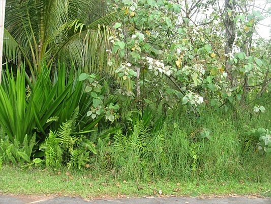 2nd image of Wehelauniu St