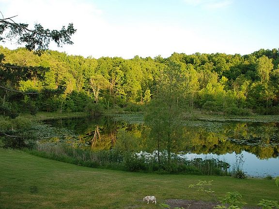 Pond
						:
						Pond in springtime.