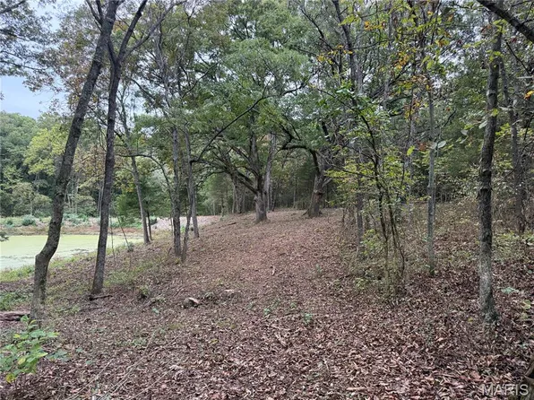 0 Highway Dd, Truxton, MO 63381