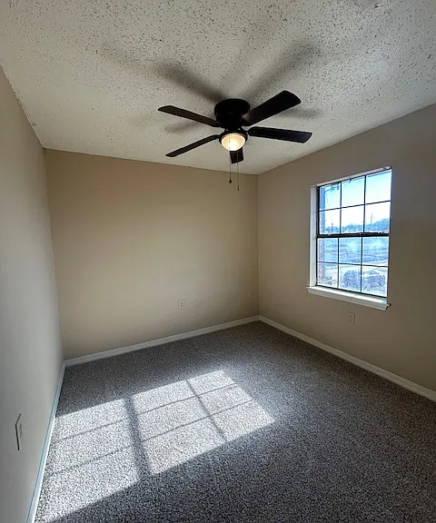 1508 Delplaza Dr #C — Photo 1