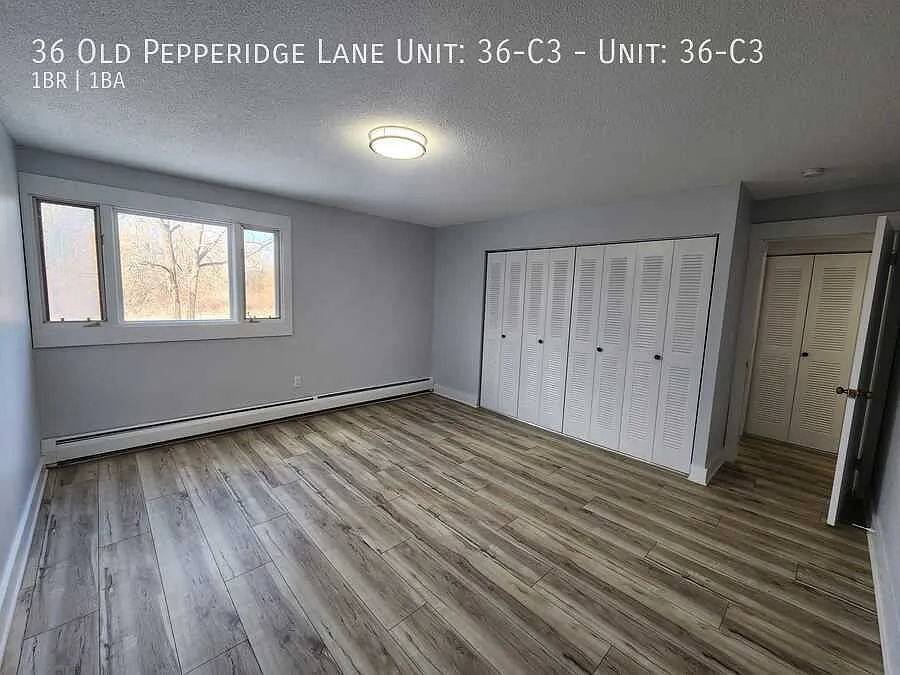 1 bed, $1,950 — Photo 2
