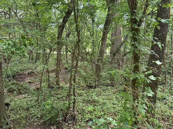 0 N P Ave Lot 1-3, Wapanucka, OK 73461