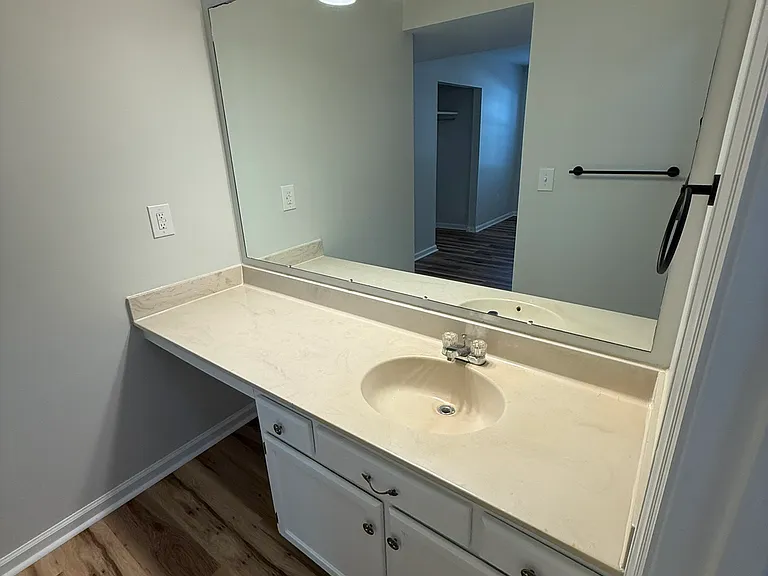 Primary Bathroom sink (private)