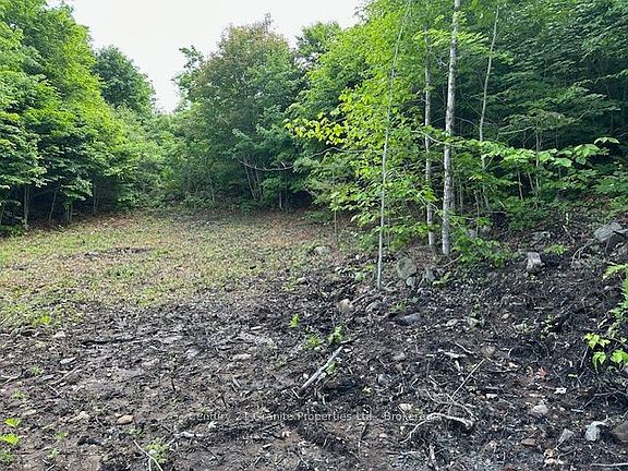 5th image of 4 McNaughts Rd