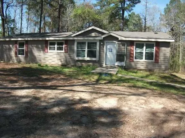 161 Cilantro, Diana, TX 75640