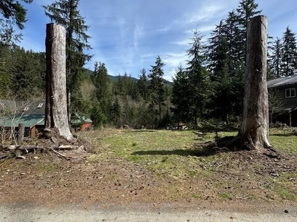 11101 Riverview Drive E, Greenwater, WA 98022