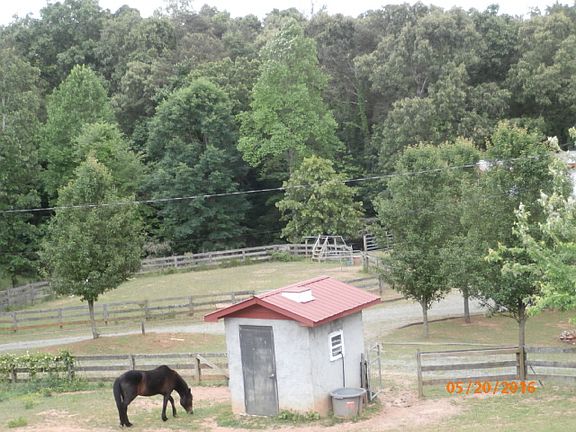 overlooking the pasture