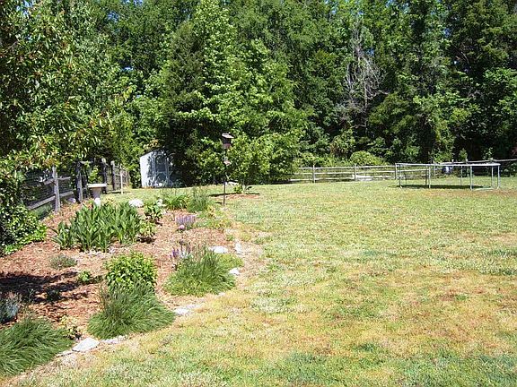 Great Backyard
