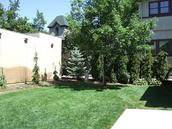Back Lawn