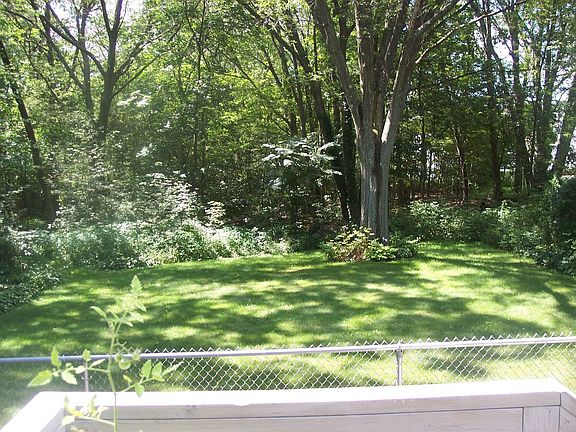 Peacefull back yard