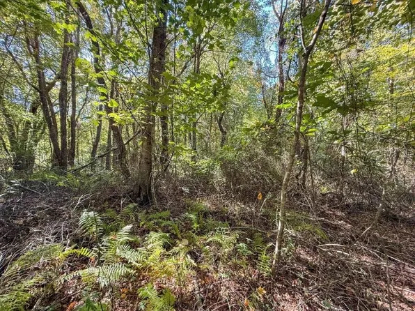 LOT 16 Glen Burn Ln, Meadows Of Dan, VA 24120