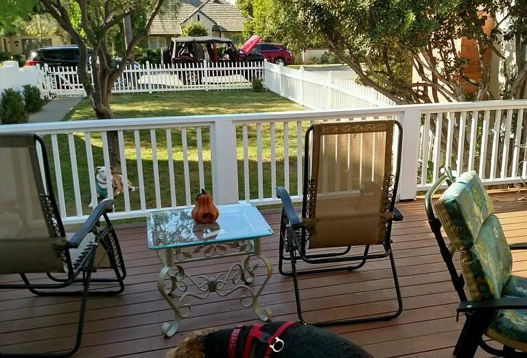 Front yard from patio