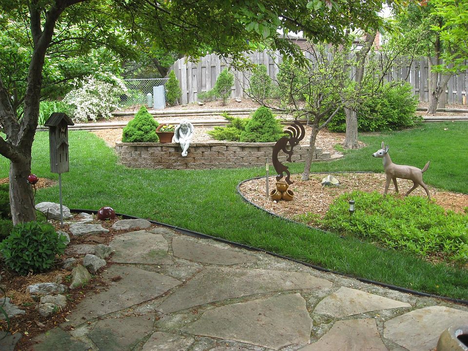 back yard