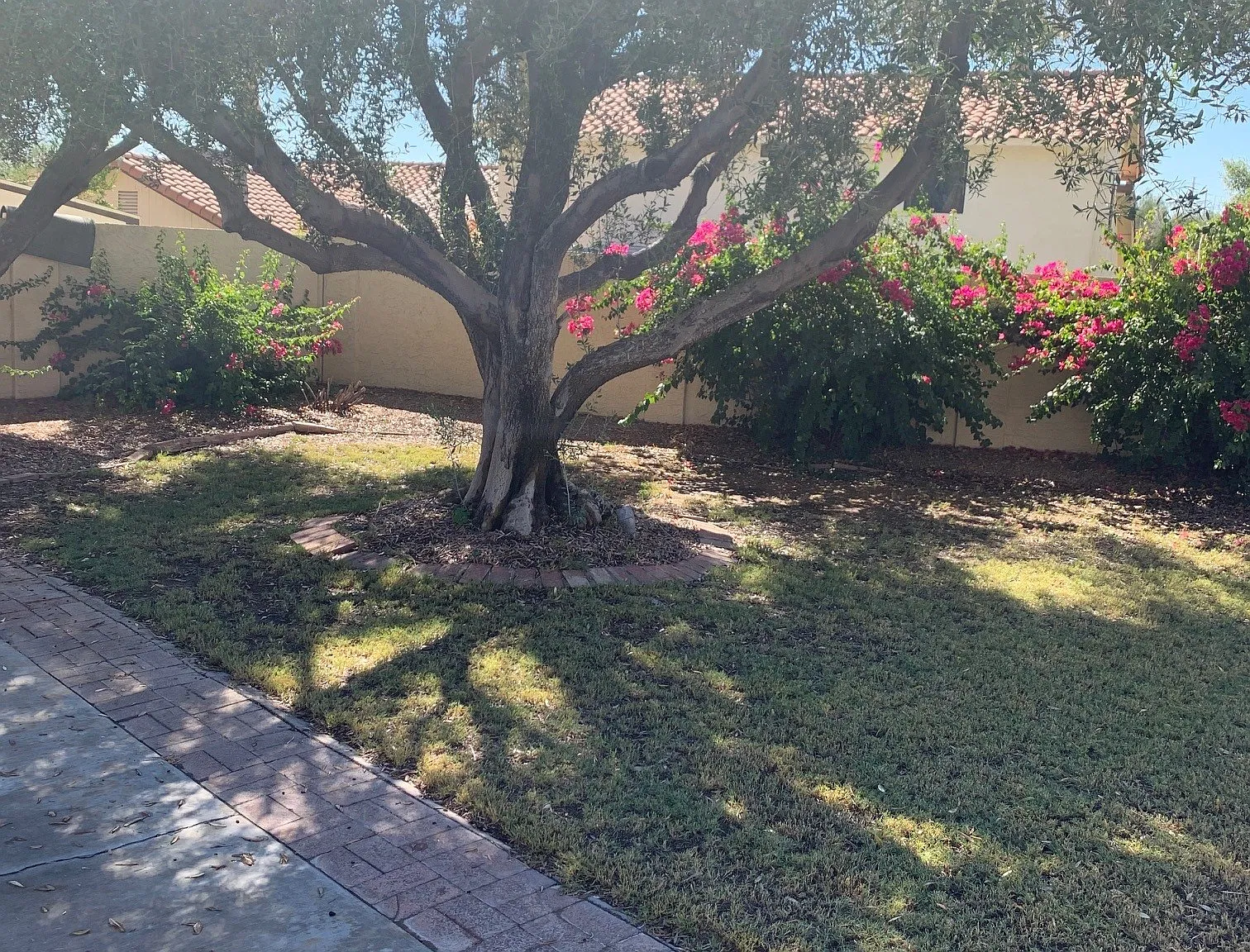 3 bed, 1660 sqft, $3,150 — Photo 2