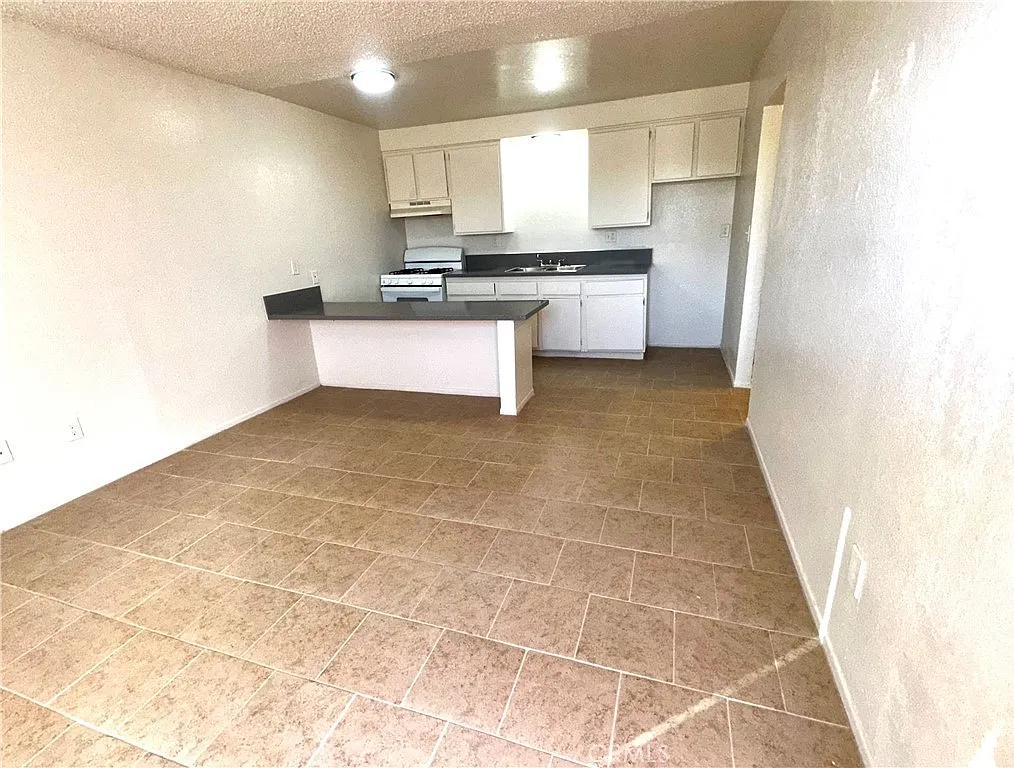 1 bed, 450 sqft, $1,250 — Photo 3