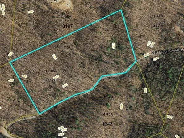 0 Carter Mountain #25, Hays, NC 28635