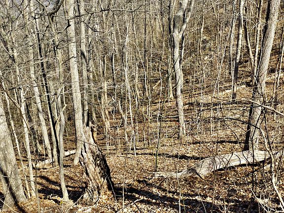 5th image of 75 White Rock Trl