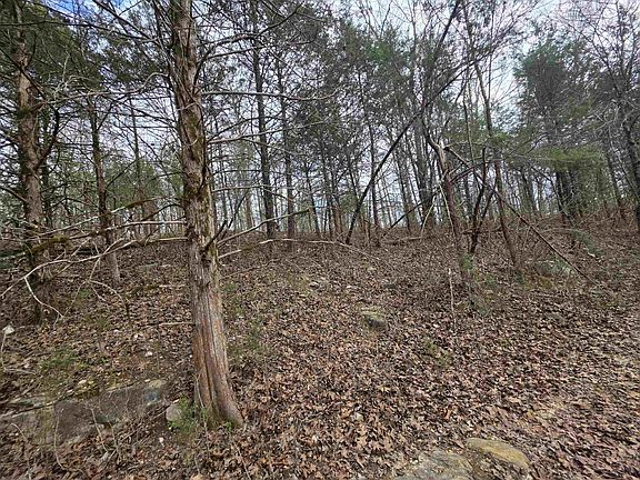 4th image of L-24 Steves Rd #B