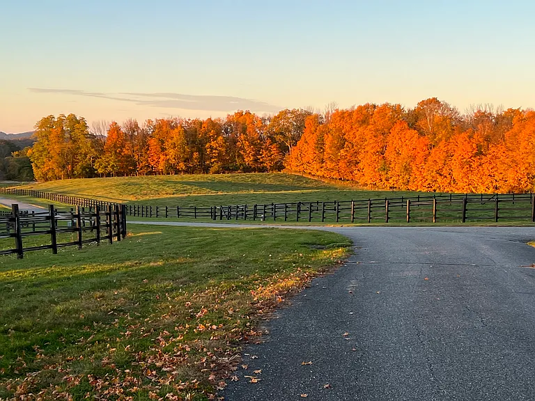 Route 44 — Photo 41
