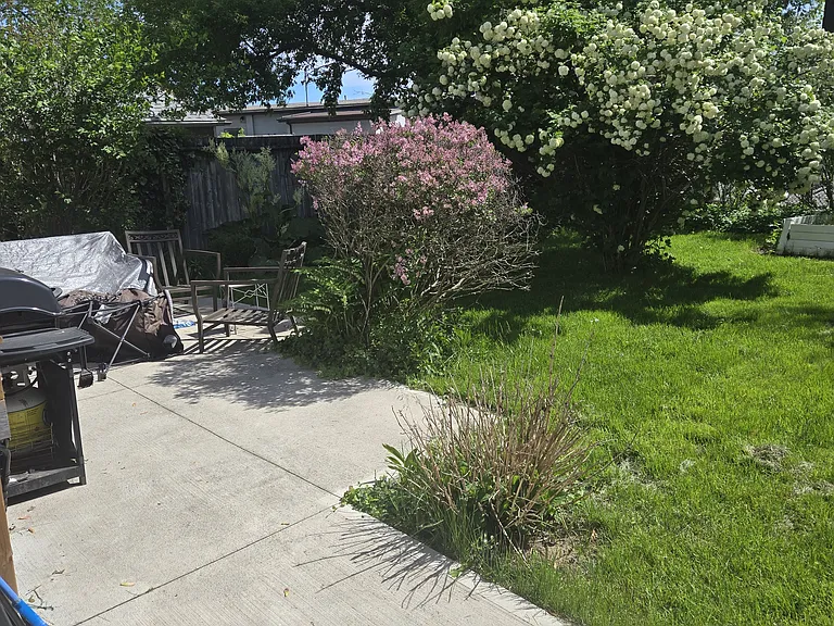 6 Mitchell St — Photo 15