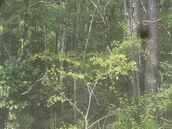 0 Boldo Rd, Cordova, AL 35550