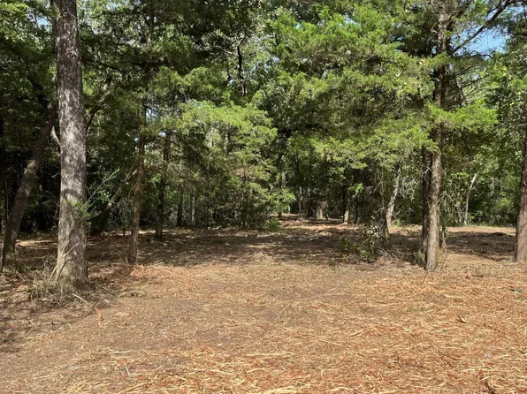 127 County Road 523, Fairfield, TX 75840