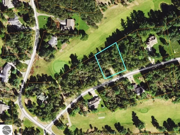 LOT 30 White Pine Dr, Cadillac, MI 49601