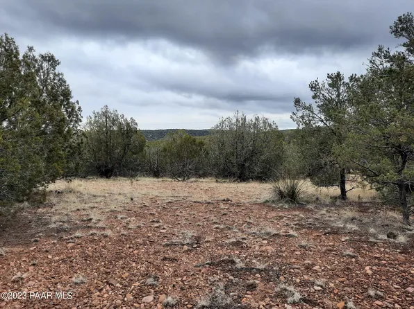 33497 W El Caballo Rd, Seligman, AZ 86337