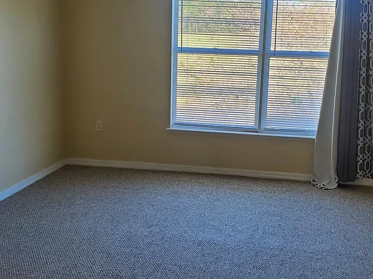 1707 Corner Meadow Cir — Photo 22