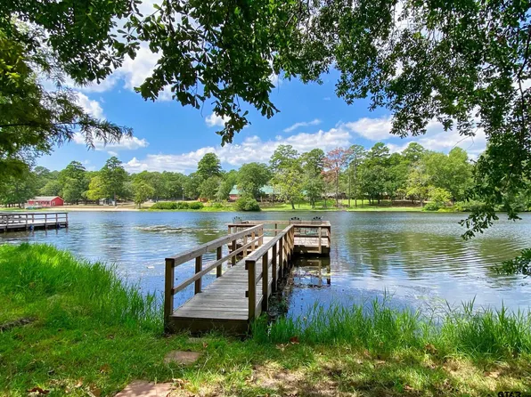 166 Blue Water Point, Holly Lake Ranch, TX 75765