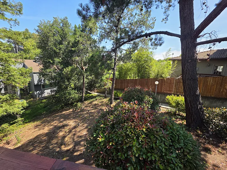 1884 Sally Creek Cir — Photo 2