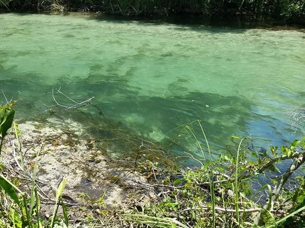 Waters Way, Weeki Wachee, FL 34607