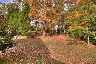 backyard_04272026