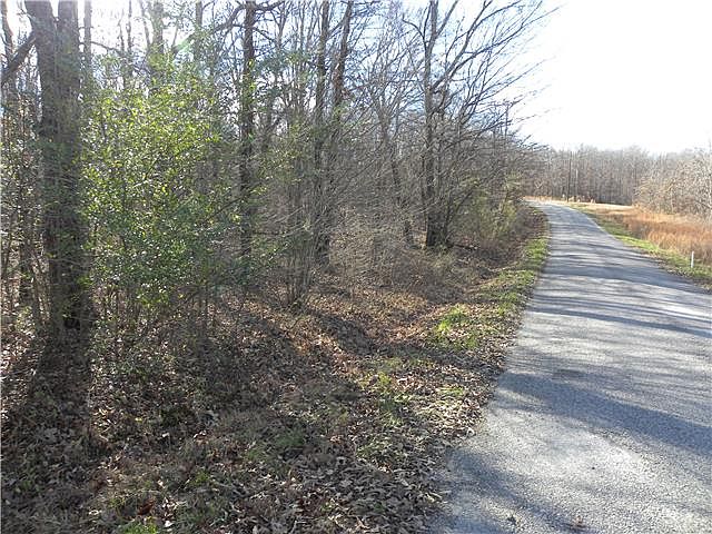 2nd image of 0 Mallard Rd