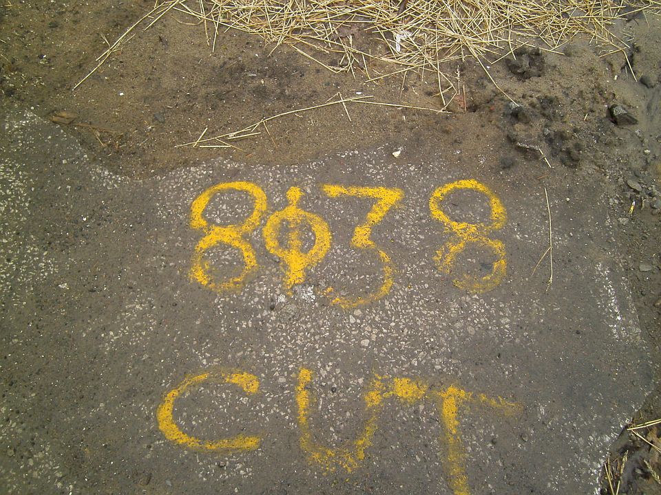 2nd image of 8038 Cory Ave