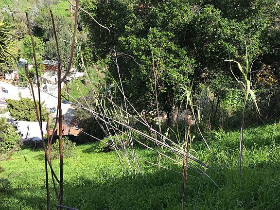 3rd image of 442 Quail Dr