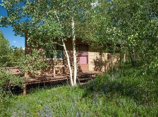 329 D Rd, Silverthorne, CO 80498
