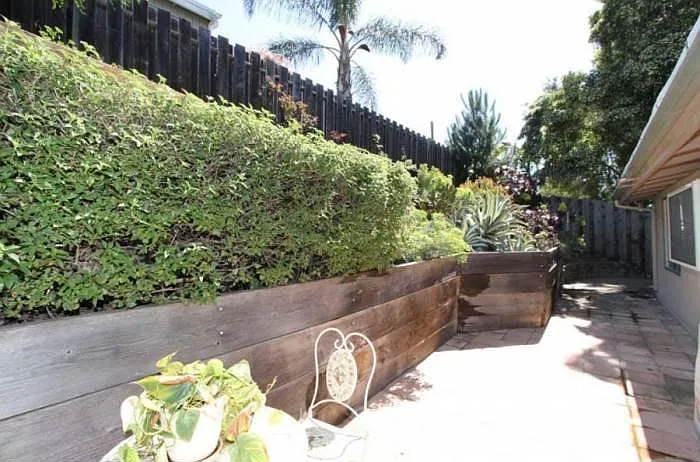 Side Yard