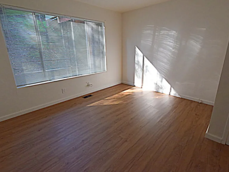 170 Miller Ave #7 — Photo 16